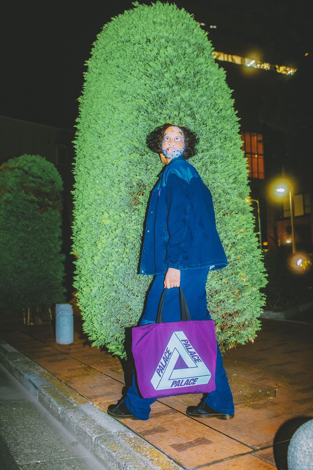THE NORTH FACE Purple Label × PALACE