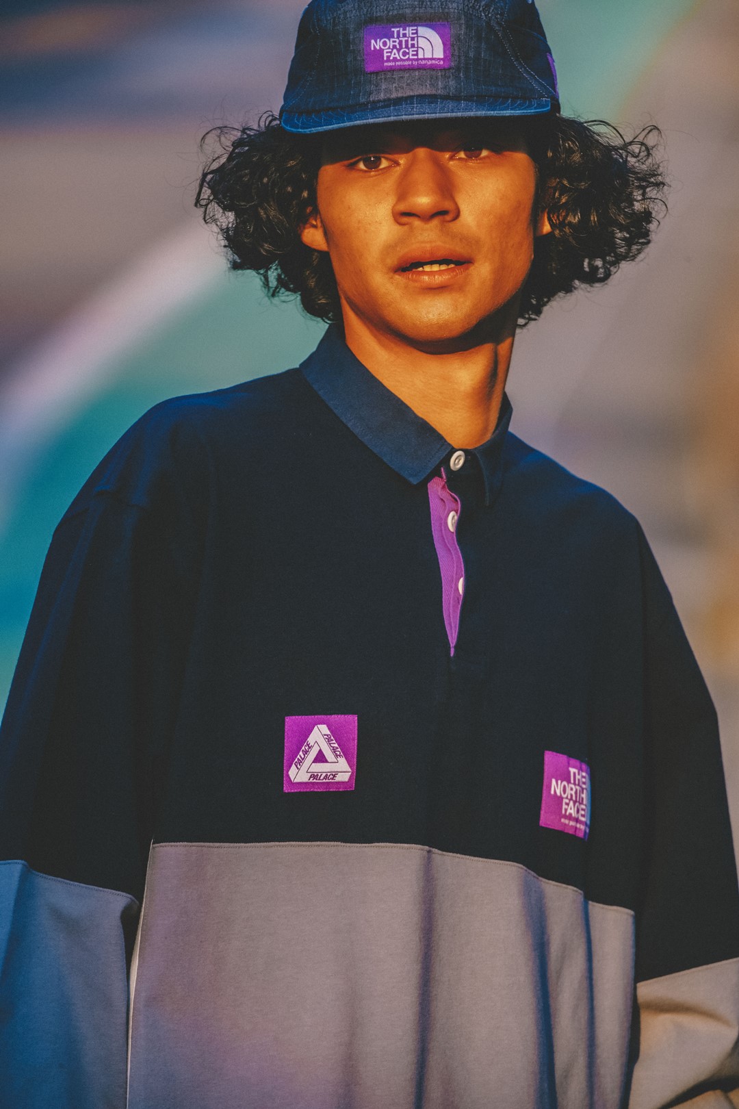 THE NORTH FACE - ☆THE NORTH FACE nanamica PURPLE LABEL × PALACE ...