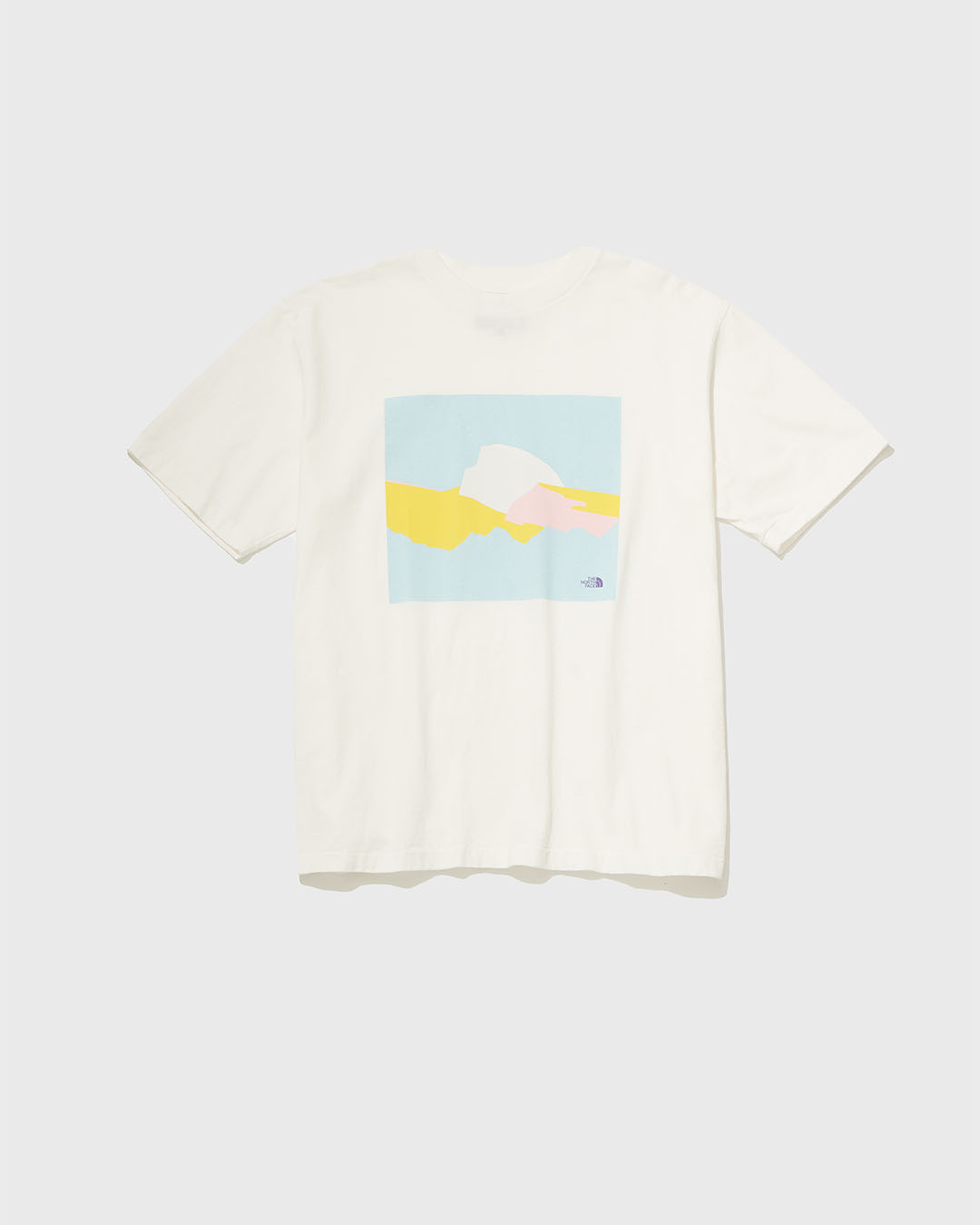 新品超特価tantan様専用ノースフェイスIllustrative Mountain2点 Tシャツ/カットソー(半袖/袖なし)